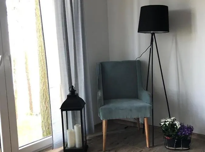 Z Widokiem Na Jezioro *